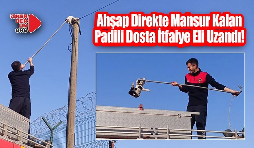 Direkte Mahsur Kalan Kedi İtfaiye Eli Uzandı!
