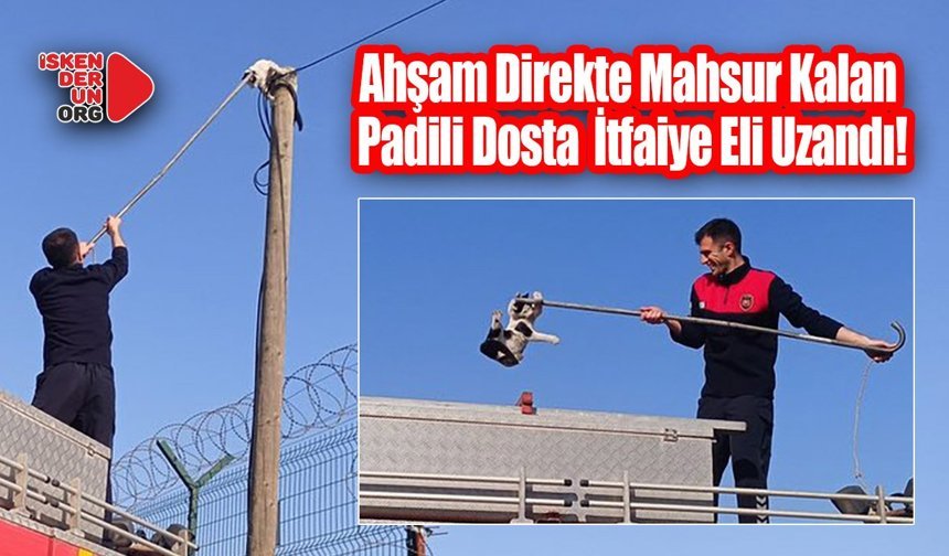 Direkte Mahsur Kalan Kedi İtfaiye Eli Uzandı!