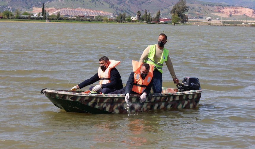 Haşerelerle Mücadele Başladı