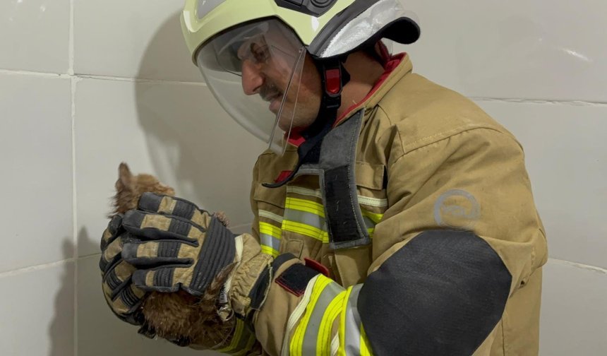 Sıkışan Yavru Kediyi İtfaiye Kurtardı