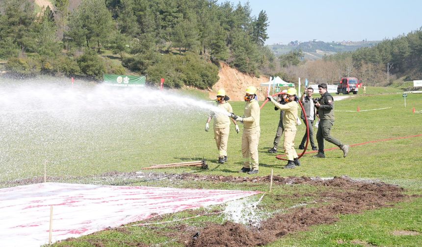 Ormancılık Yarışmaları heyecanı sürüyor…