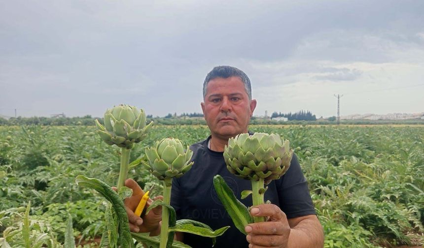 Enginar’ın Yemeğini Beğenince Ekimini Yaptı