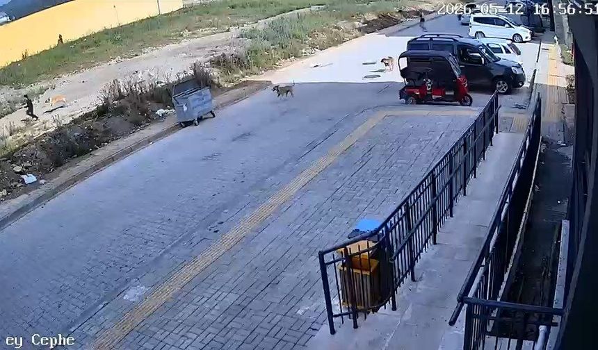Korku dolu anlar güvenlik kamerasında...