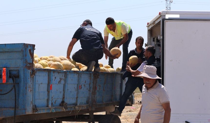 HBB'den Vatandaşlara 100 Ton Kavun Desteği