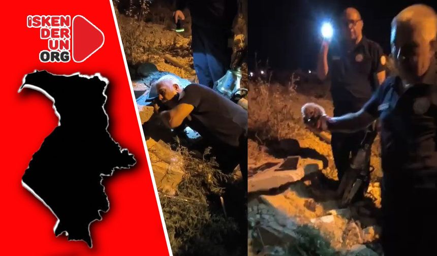 Boruda sıkışan Kirpi Kurtarıldı
