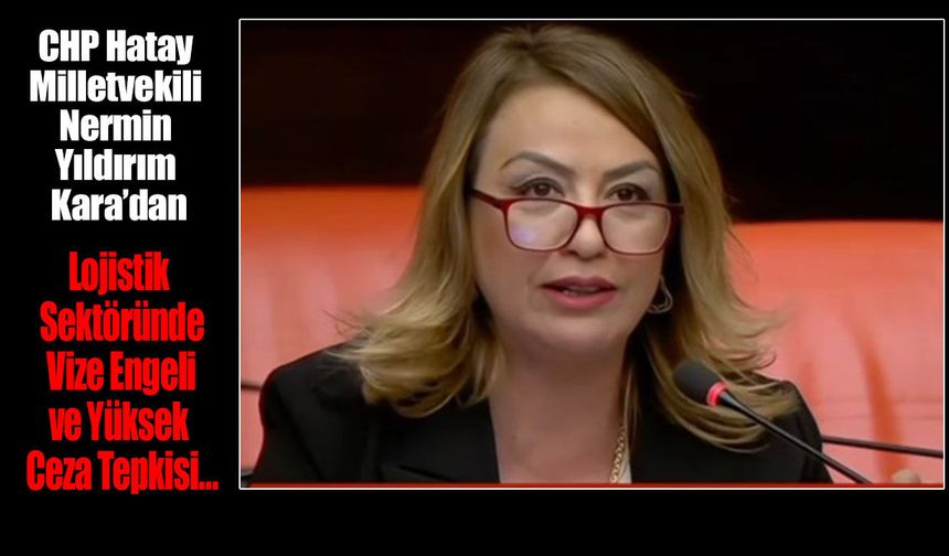 “Vize Sorunları Uluslararası Taşımacılığı Zorluyor”