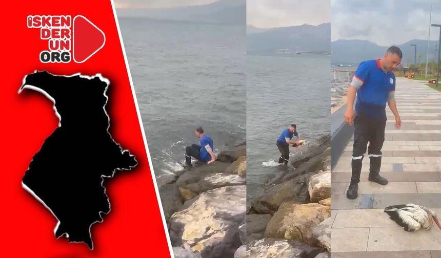 Yaralı Leyleği Denize Kıyafetleri ile Girerek Kurtardı