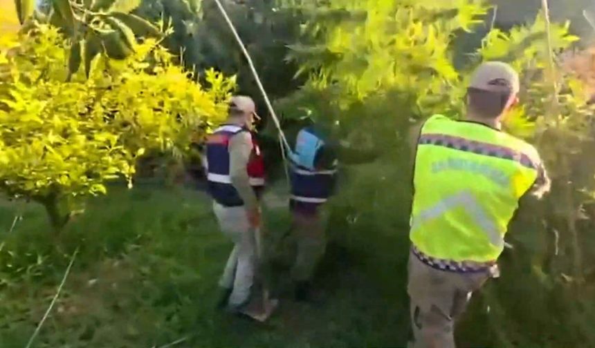 Yasaklı Madde ve Kaçak Rakıya Geçit Yok!