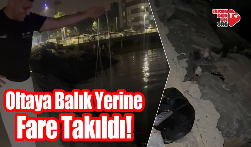Oltaya Balık Yerine Fare Takıldı!