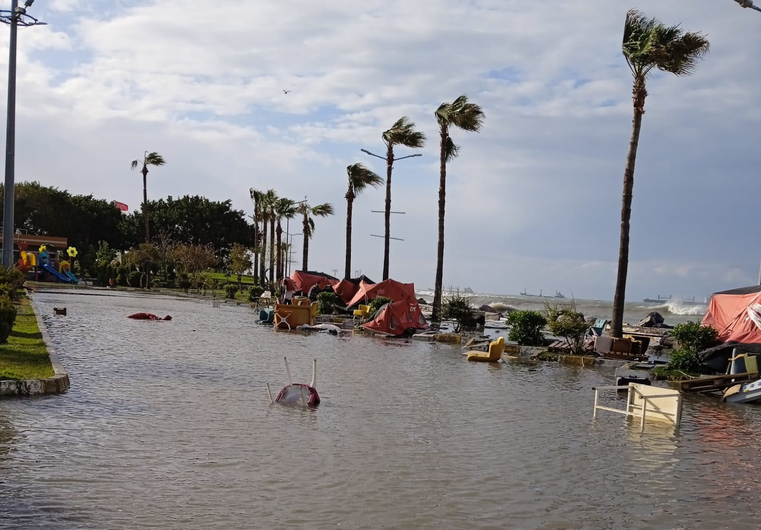 24f7831a-7099-43d6-9409-818f8d46432d