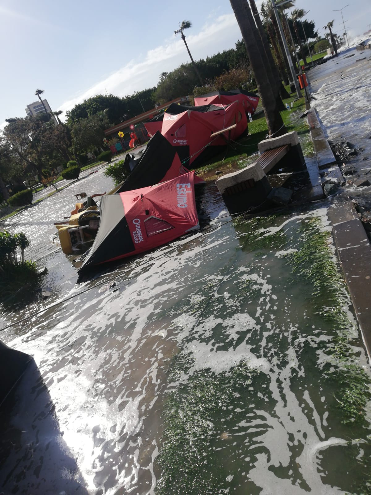 2f354469-6c41-4162-86af-a9a0e2da2a48