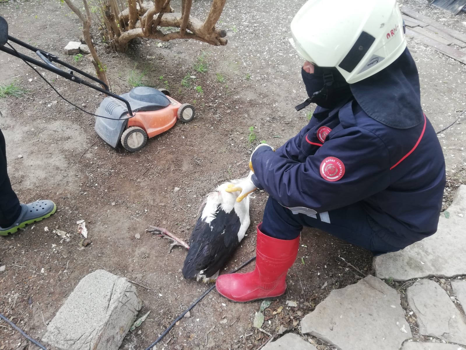 87309d38-1b17-4572-b384-0657b7c81534