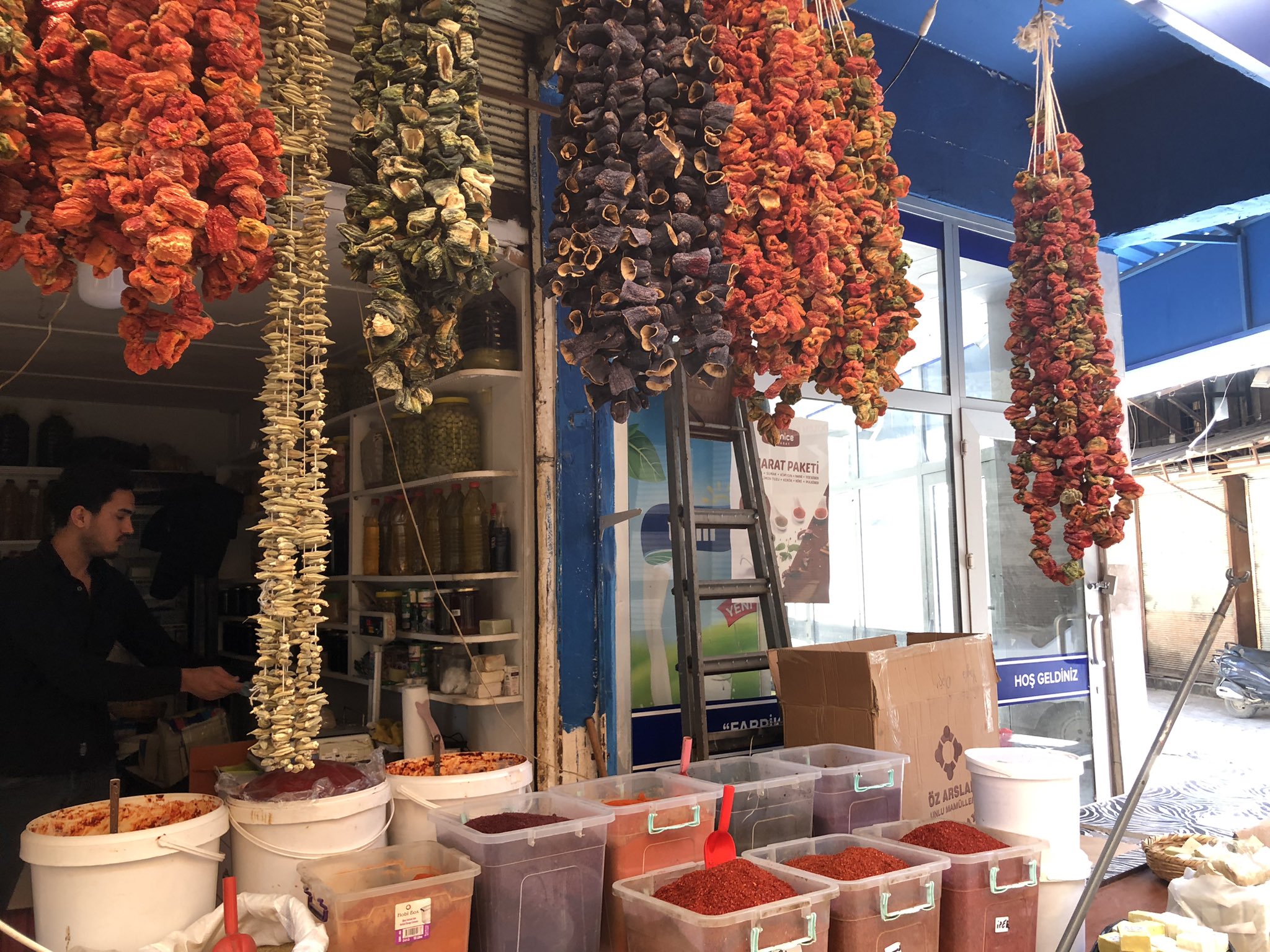 342484401_1324185441497647_2358916150484003069_n