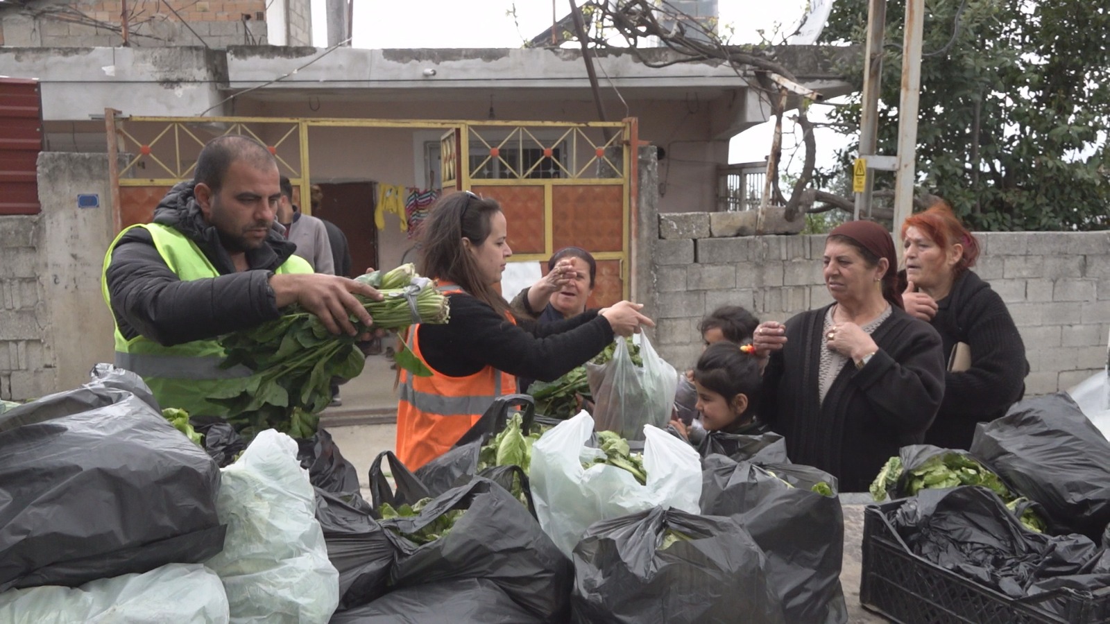 4bacfb6a380943e3971b59673a6e3518