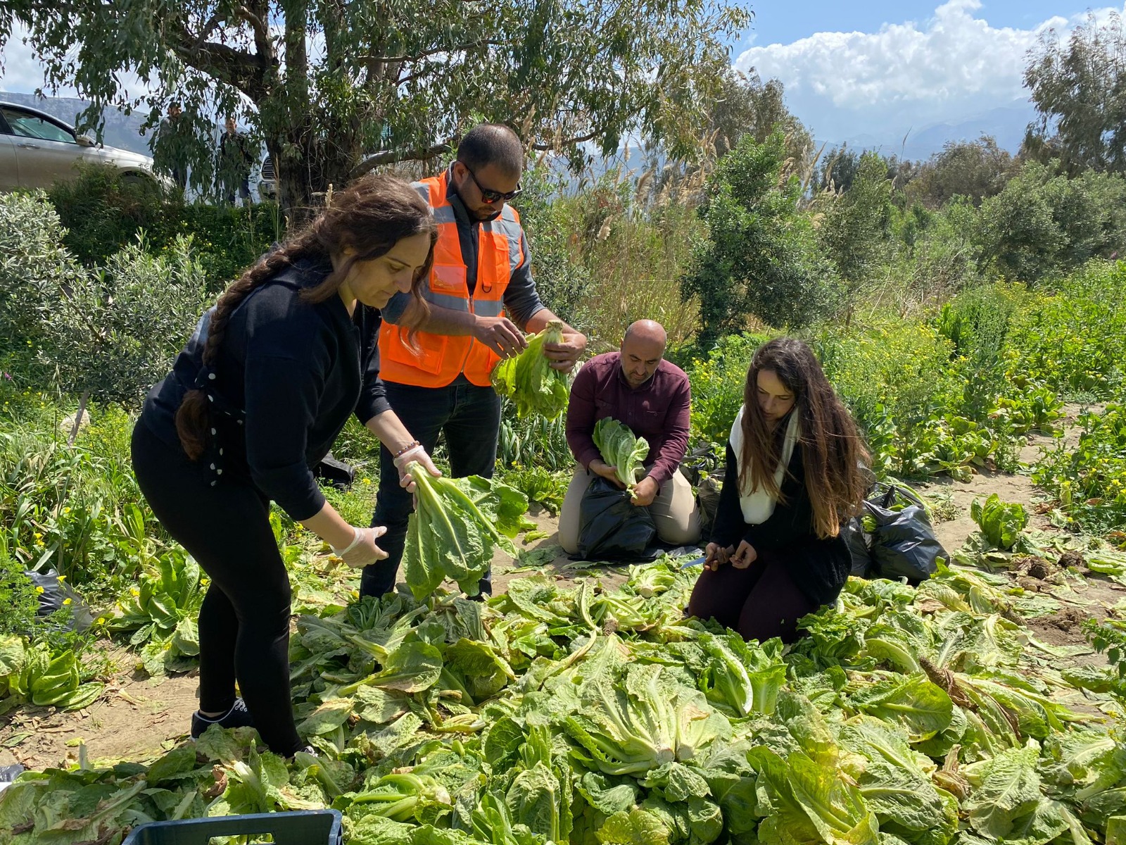 6f4ccafa1df04610a4dd15a8df24b16f