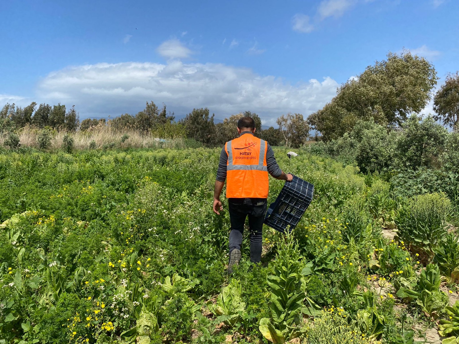 b4c66fd254bd4d2099cbf7e6aee1c6c2