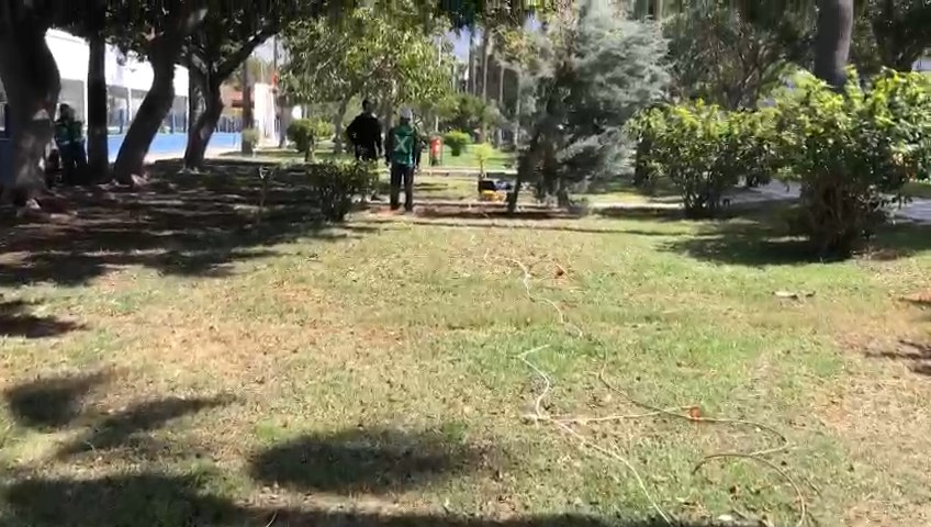 WhatsApp Video 2023-03-31 at 12.30.26.mp4_snapshot_00.26.878