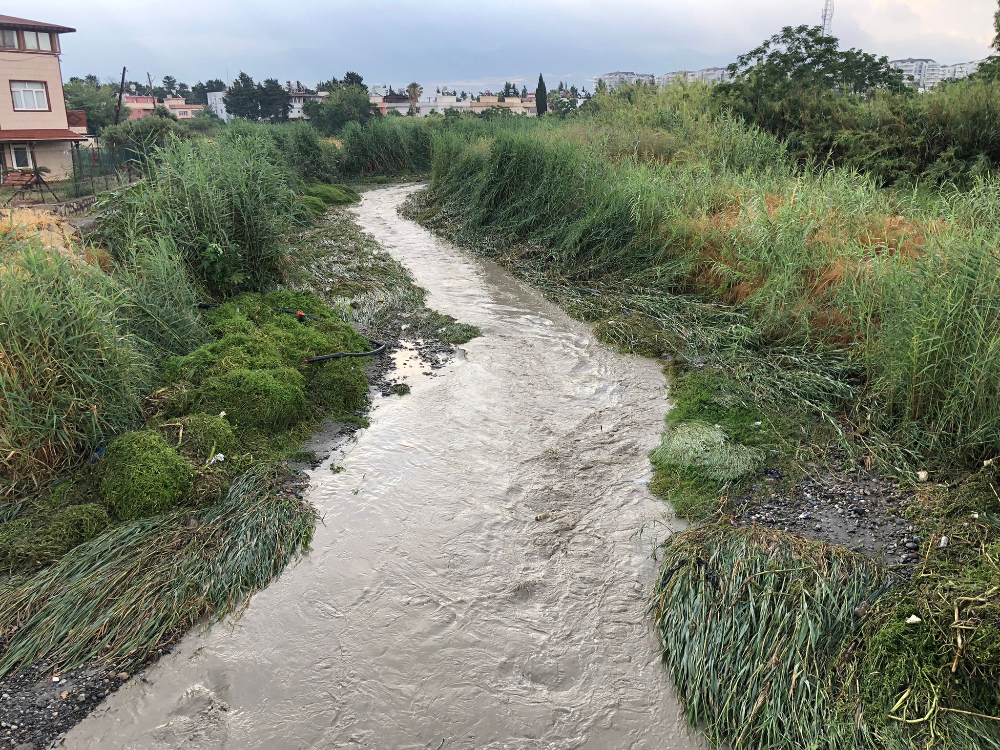 0e68e15b-4cb4-438f-8724-4a02fabff8a4