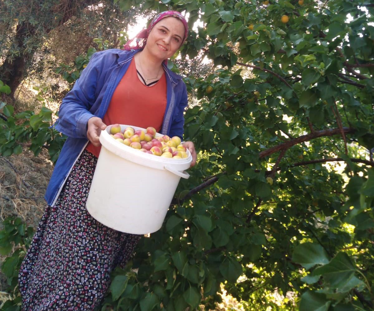 a86240ad-815c-4603-8c3f-e15f7762f8cb