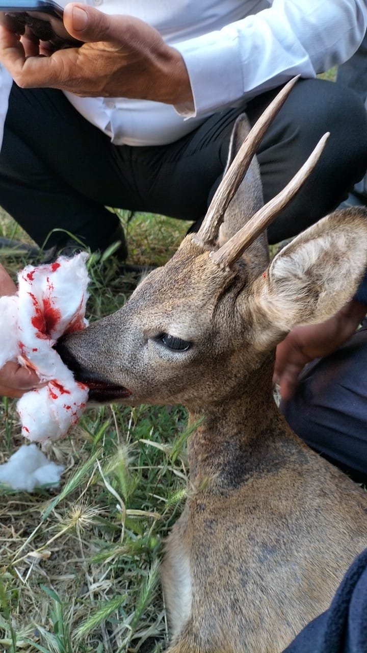 aeab000e-a90f-4093-8bb4-f313b5d5f8e4