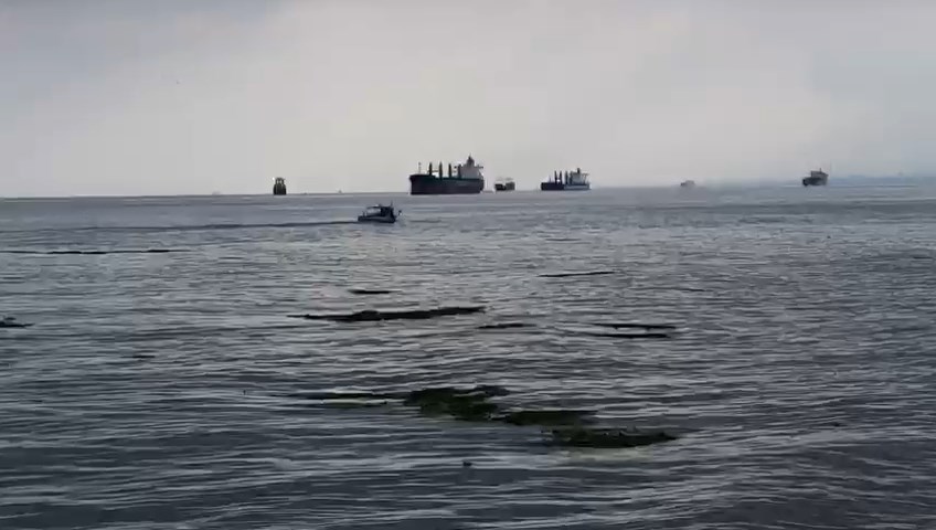 WhatsApp Video 2023-06-15 at 09.07.55.mp4_snapshot_00.32.057