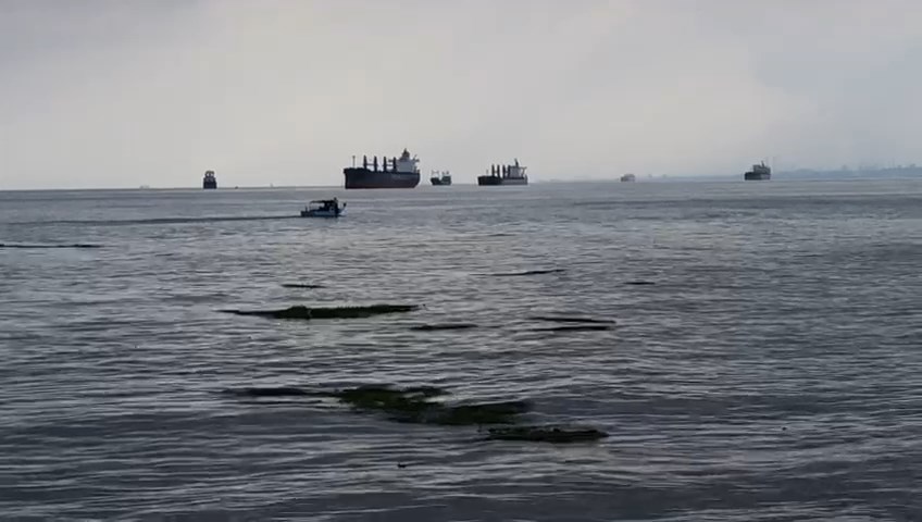 WhatsApp Video 2023-06-15 at 09.07.55.mp4_snapshot_00.33.188