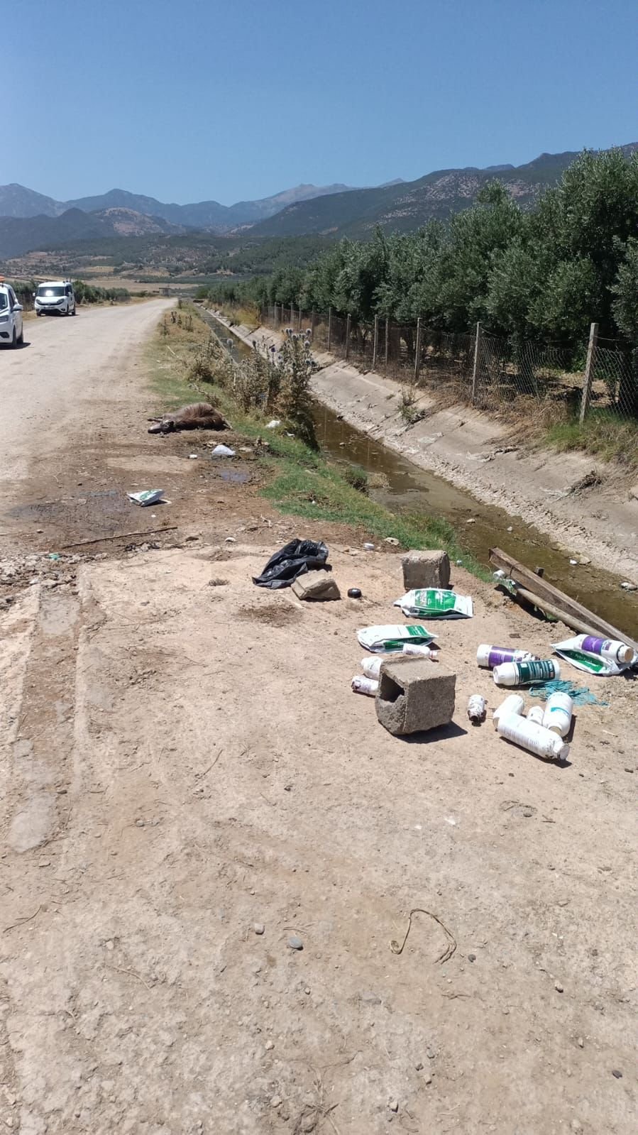 40832a86-a880-4119-a4d2-7ccfd5109da4