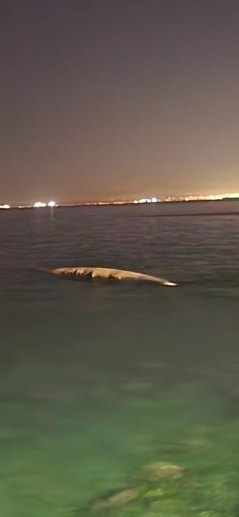 57864f5f-95aa-42f3-8d8d-1fdfa16c4cbf