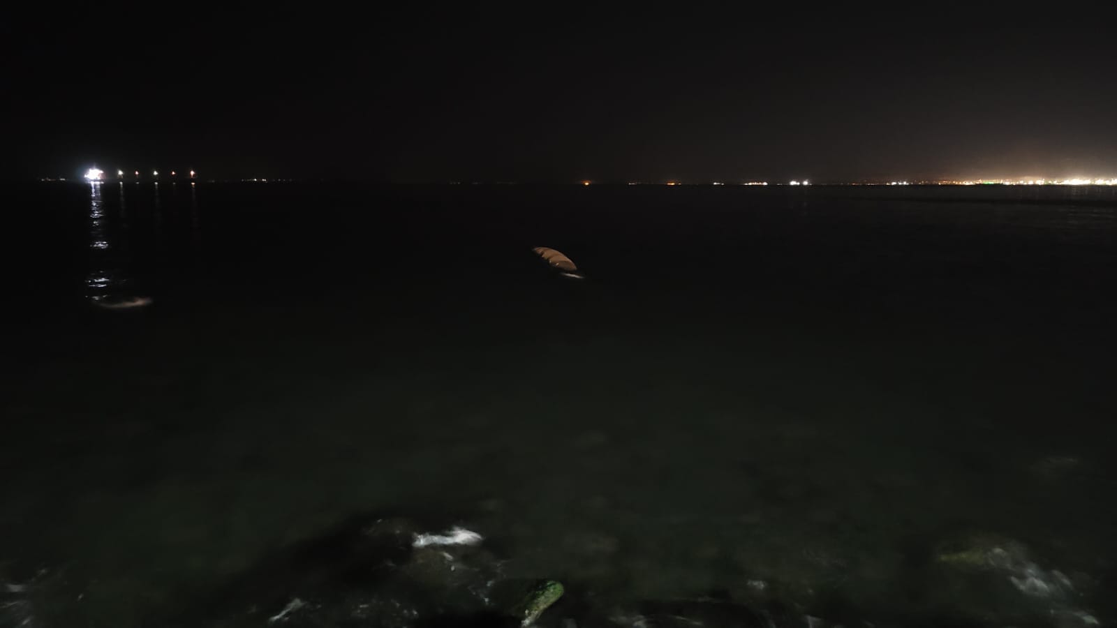 5fb0c794-e43d-49c6-a44b-9f187fd2d119