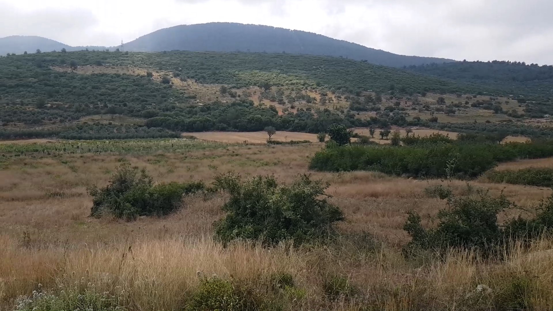 CEBİKE TOKİ MAĞDURU.mp4_snapshot_00.00.876