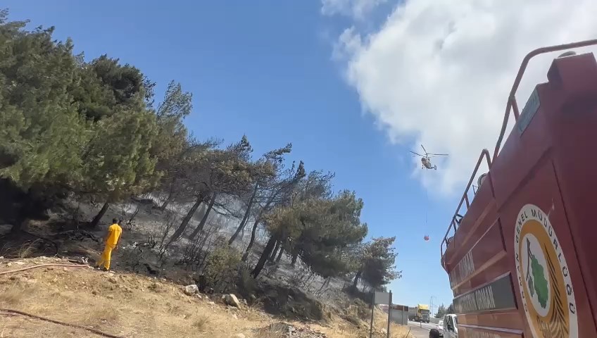 WhatsApp Video 2023-07-31 at 14.29.28.mp4_snapshot_00.00.000