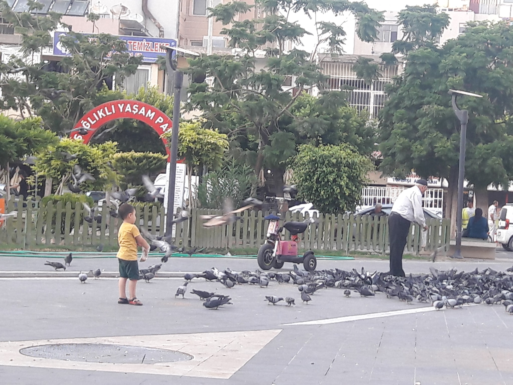 42651315_10155507364051401_4545570644787462144_n