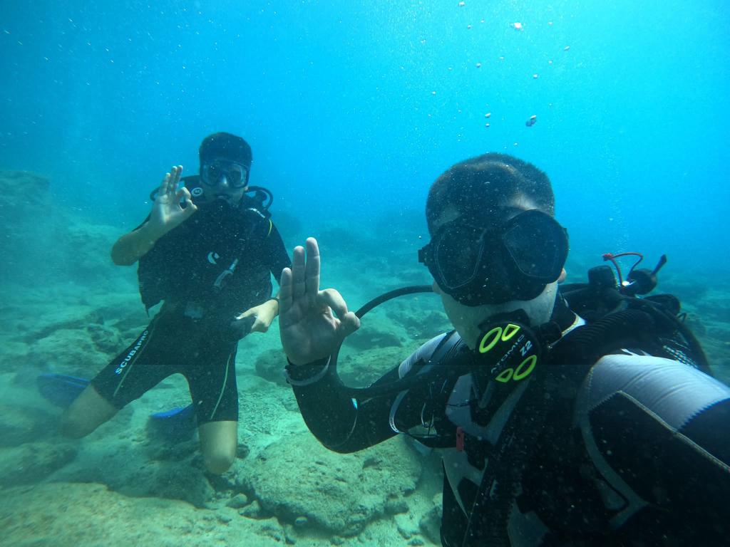 17a5e784-a869-4207-ad7c-5cc54eef254e