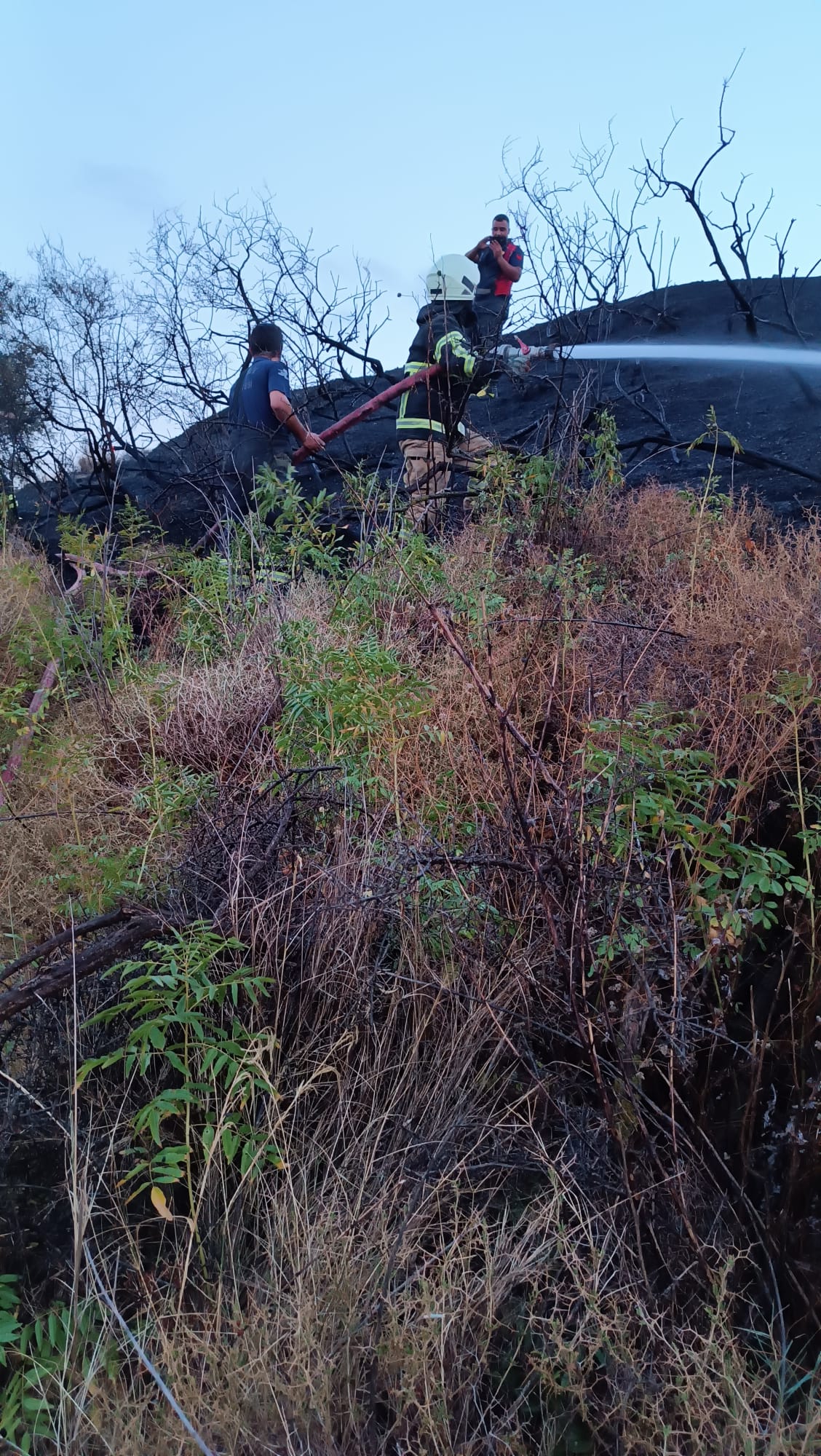 268bee7d-53f6-4da9-b61a-6996b0ac700e