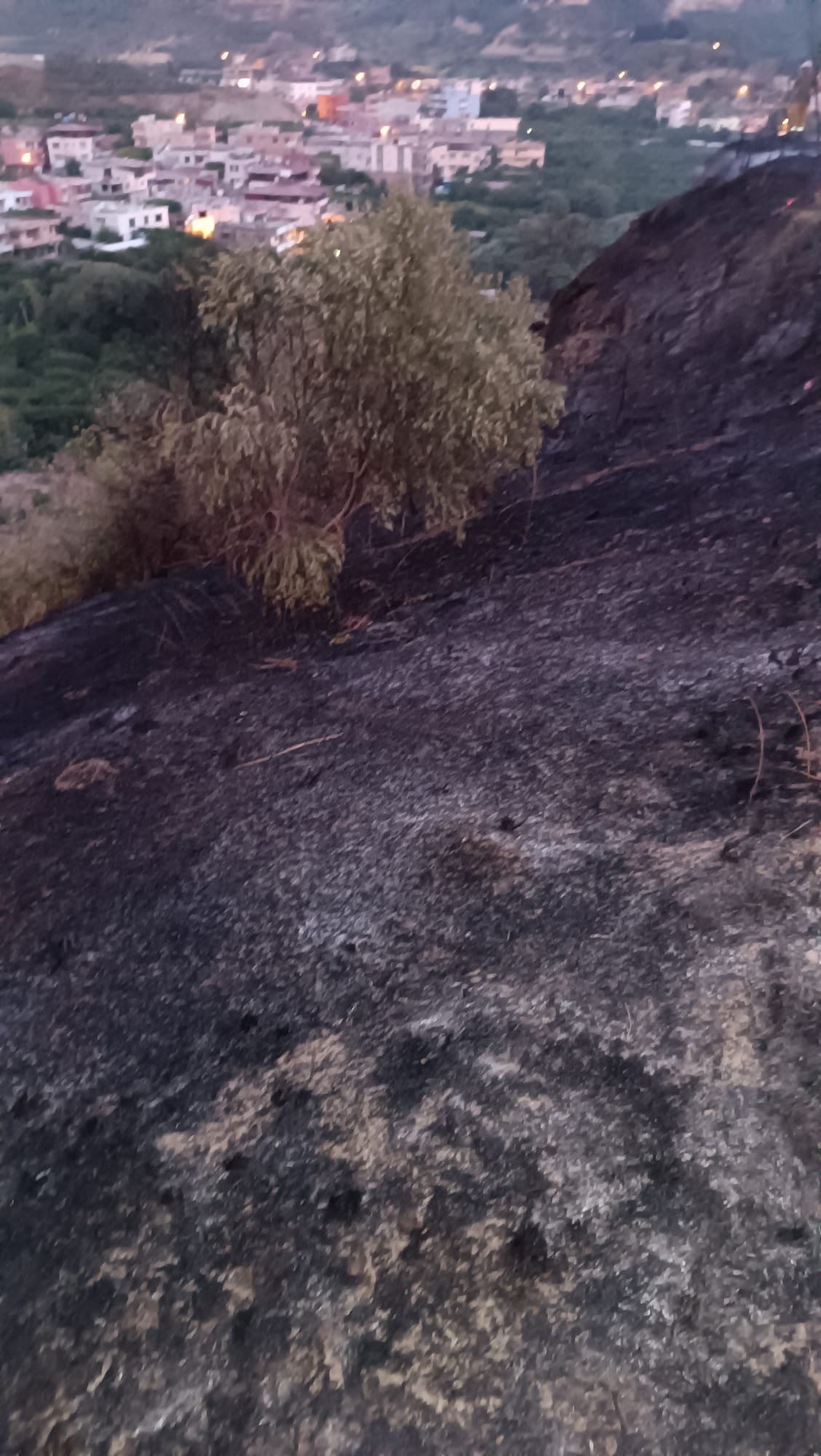 928bd54b-0d0b-494b-b8e5-dd6ab7b52246