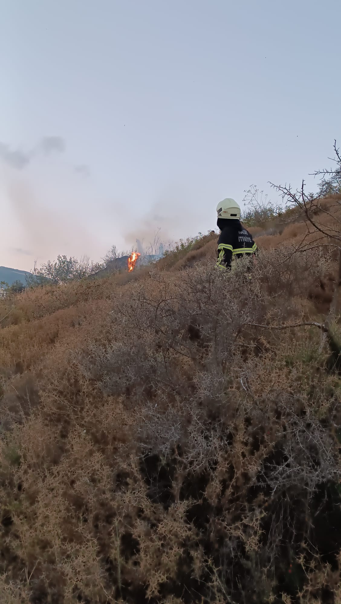 a6b3d335-cd8c-4c5d-90ed-381b8b7bd58b