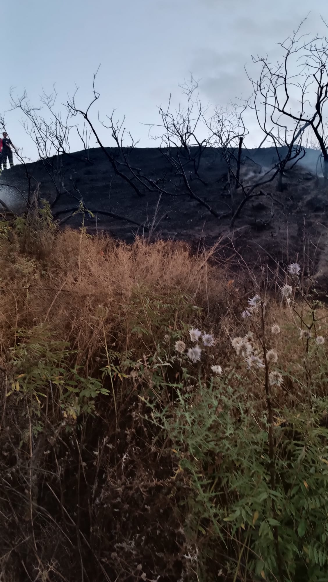 a6fb219a-b4d7-4eb2-814b-f4a14a5f3e68