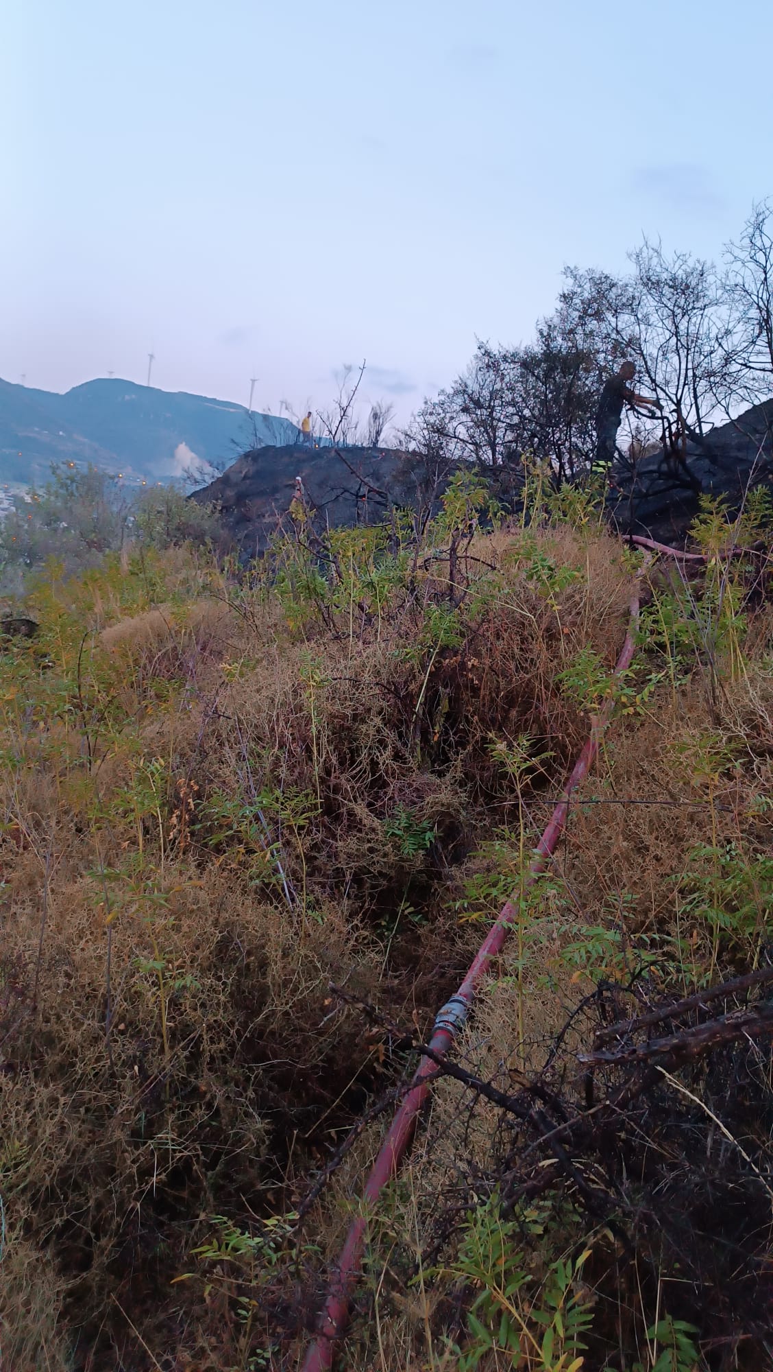 a7e249f9-2270-42cd-a913-accfdf1f80b7