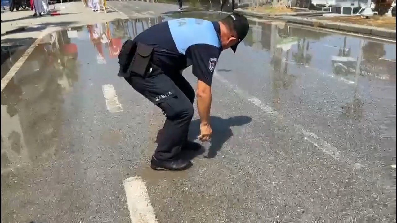 balik-toren-alanina-sizdi.mp4_snapshot_00.23.432