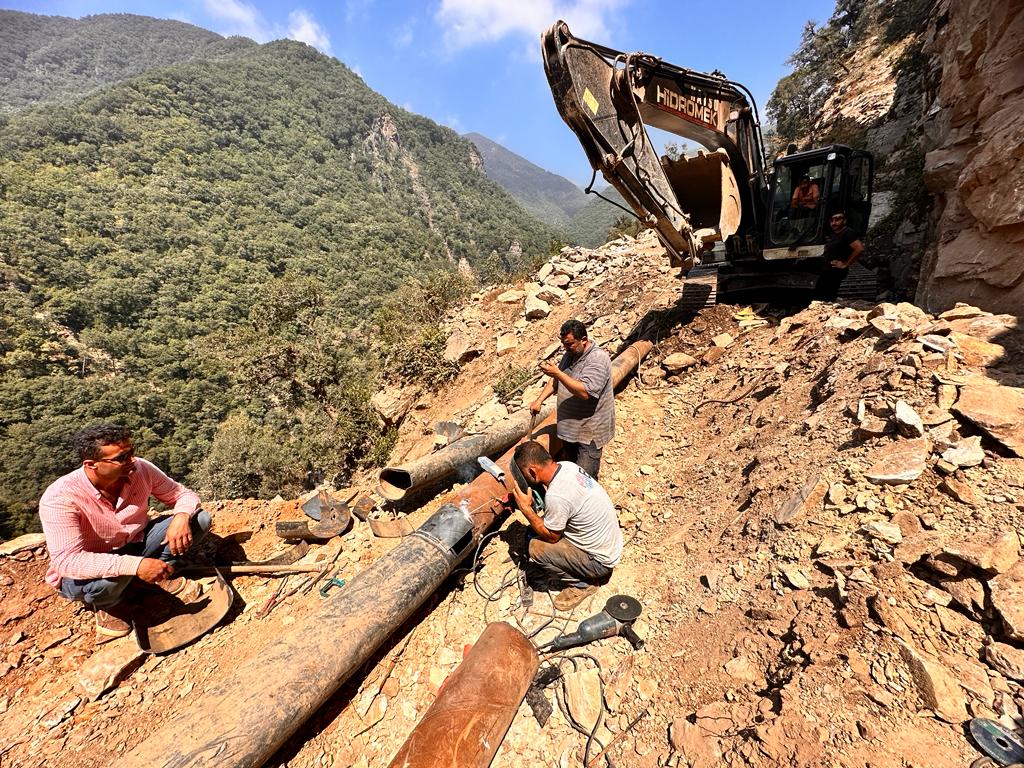 d74fe177-3b3f-4502-879d-26a3a8a35693