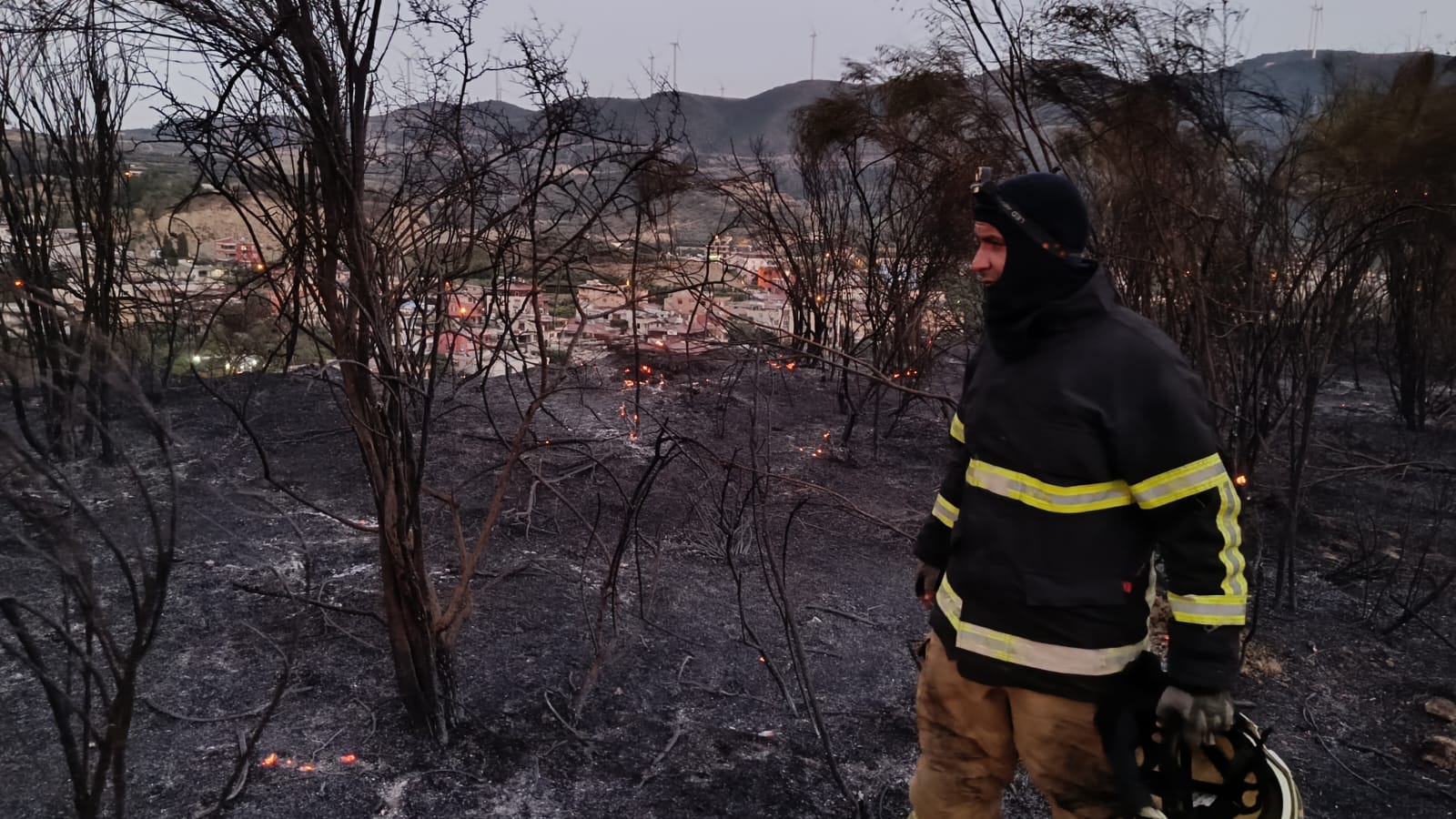 f0ee382f-1dbb-4107-89d5-76a095f9dccb