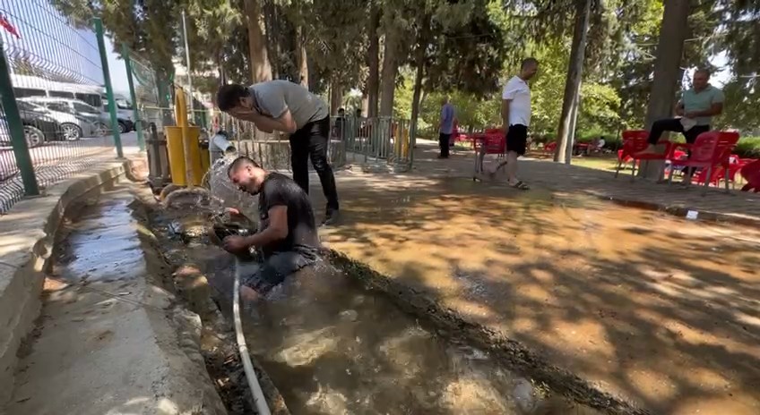 IMG_0745.MOV_snapshot_03.53.003