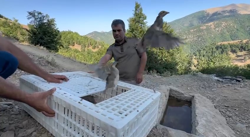 IMG_0852.MOV_snapshot_03.06.600