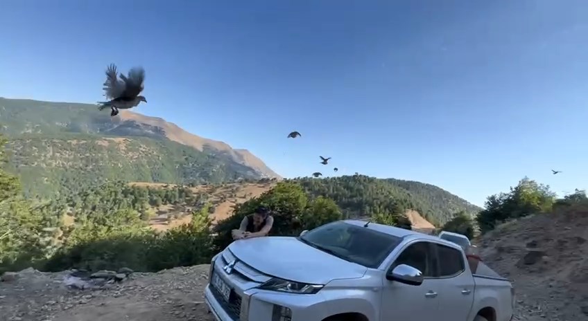 IMG_0852.MOV_snapshot_03.12.433