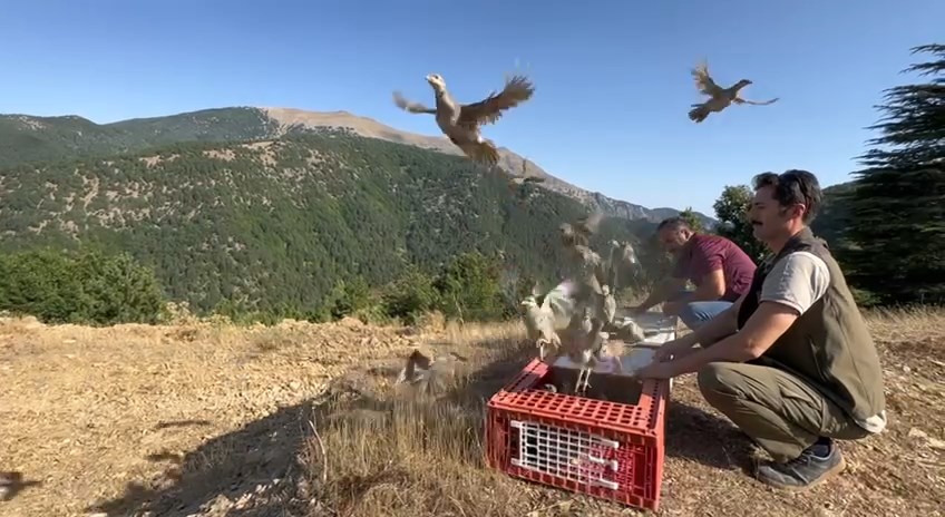 IMG_0852.MOV_snapshot_04.05.500