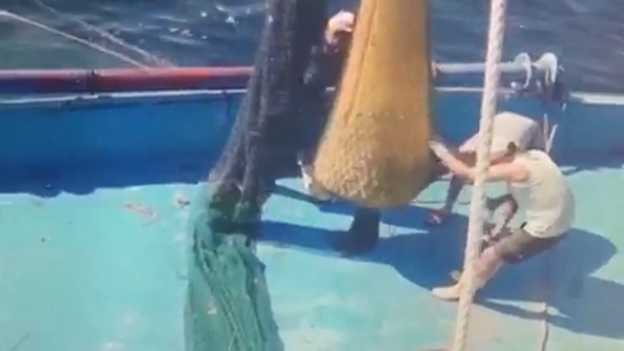 aglar-balika-doldu.mp4_snapshot_01.10.821