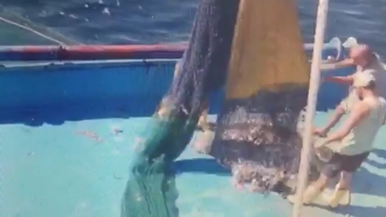 aglar-balika-doldu.mp4_snapshot_01.15.428