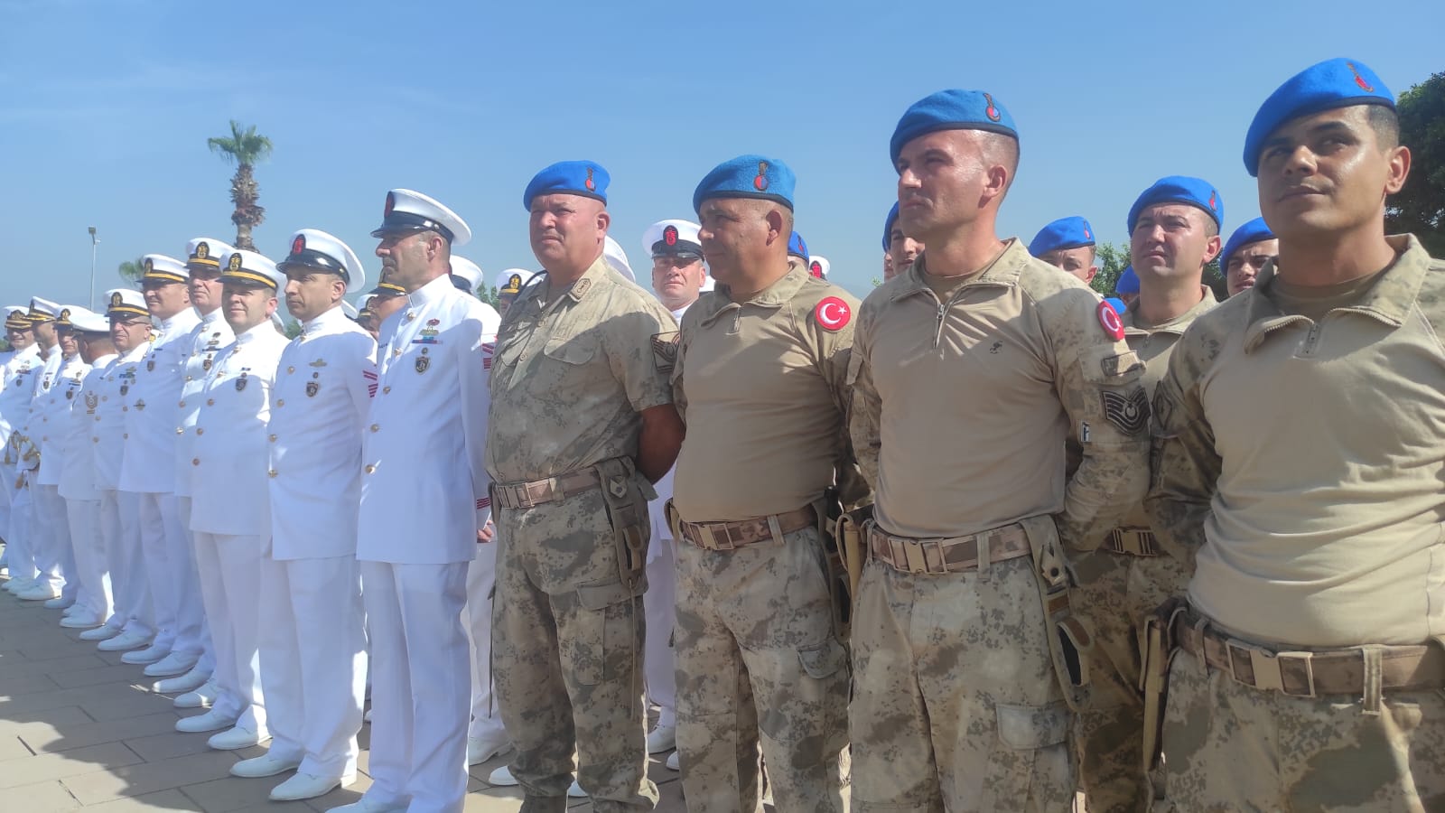 187de087-779a-4a7d-8c31-99d81b9e00df