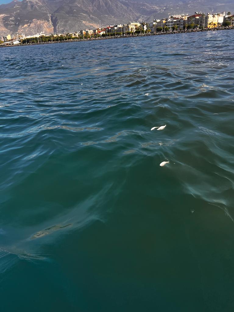 2b8edaa7-3993-497c-9b18-f955dfa5268e