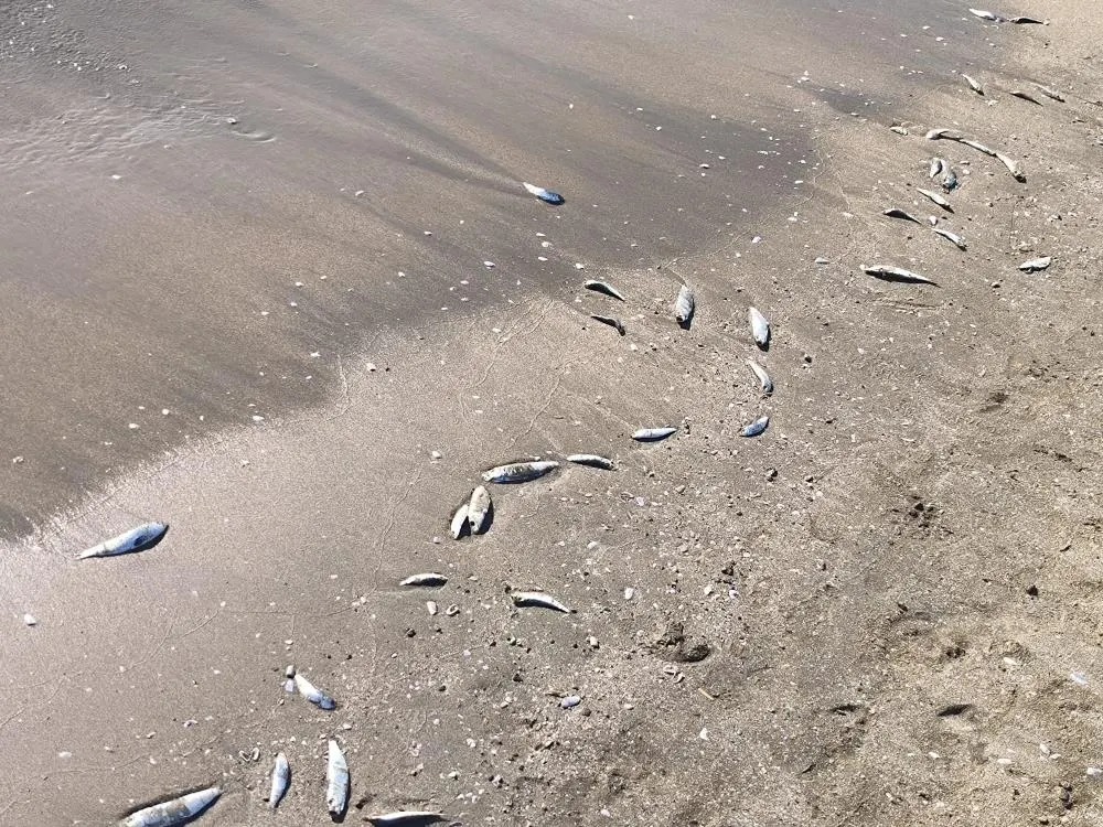 394348424_884885440030735_3916665992673207673_n